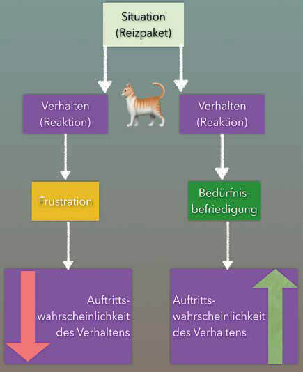 Gesetz des Effektes nach Thorndike