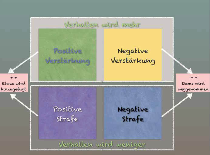Quadrat der Konsequenzen