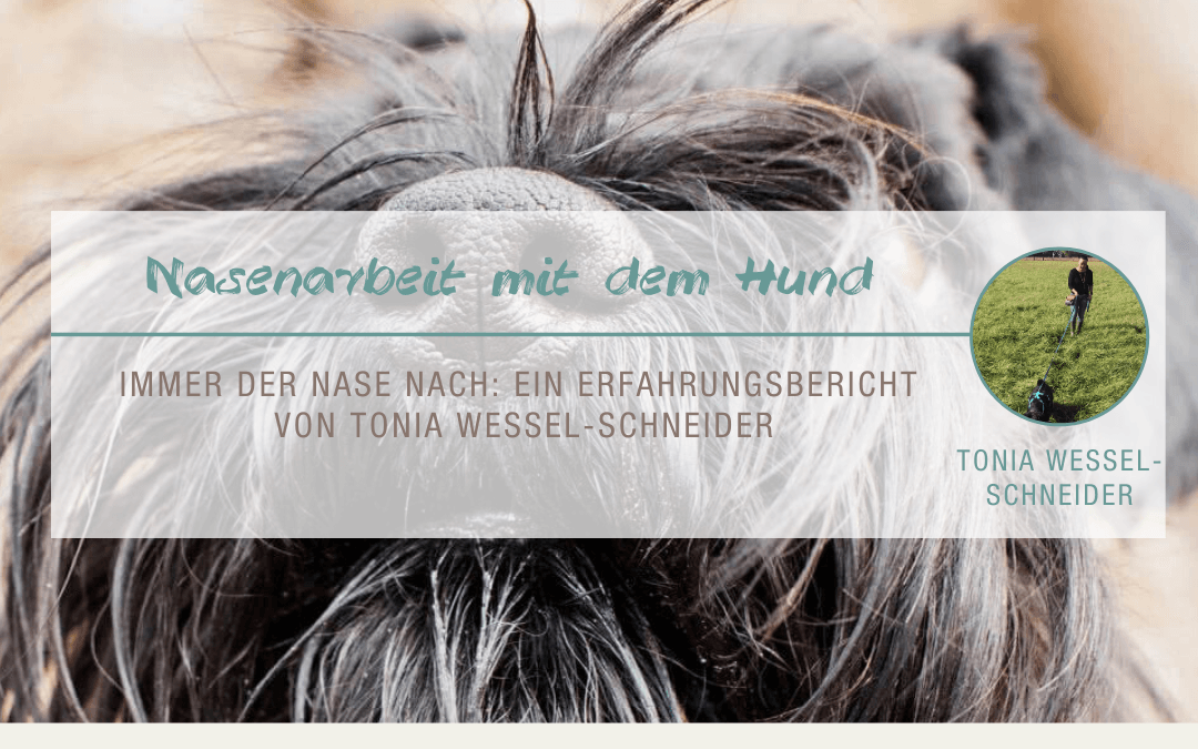Nasenarbeit mit dem Hund: Immer der Nase nach